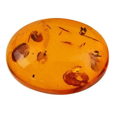 Natural Amber, Oval Cabochon, 14x10mm