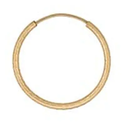 Gold Filled 20mm Hoop Earring