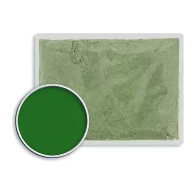 WG Ball Wet Process Enamel Dark Green 12554 50g Lead Free