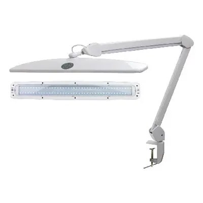 Professional LED Lamp