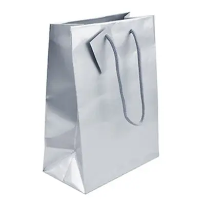 Silver Gloss Gift Bag, Small Pack of 5 170x120x75mm