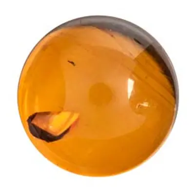 Natural Amber, Round Cabochon, 12mm