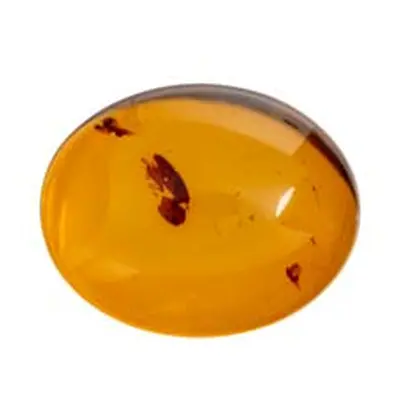 Natural Amber, Oval Cabochon, 10x8mm