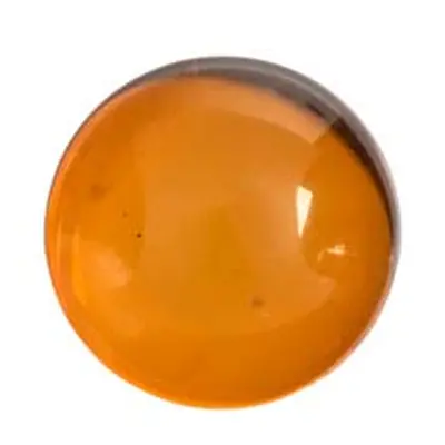 Natural Amber, Round Cabochon, 10mm