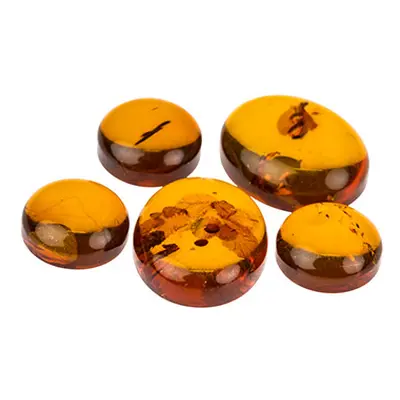 Natural Amber, Mixed Cabochon Set, Pack of 5