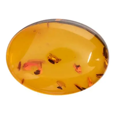 Natural Amber, Oval Cabochon, 20x15mm