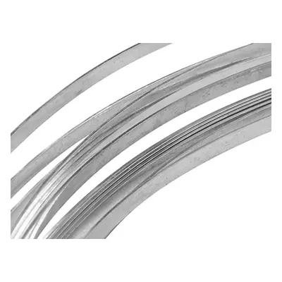 Fine Silver Rectangular Wire 1.00mm X 0.20mm Fully Annealed, 3m Length 6.2g, 100% Recycled Silve