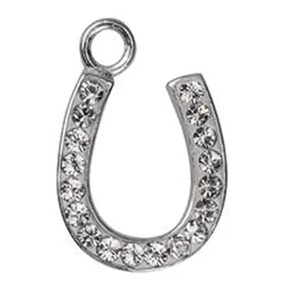 Sterling Silver Horse Shoe Stone Set 12mm