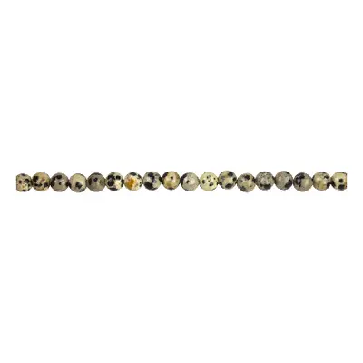 Dalmatian Jasper Semi Precious Round Beads 6mm,16&quot; Strand