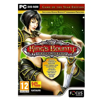 King's Bounty: Crossworlds - Game of the Year for PC - Steam Download Code