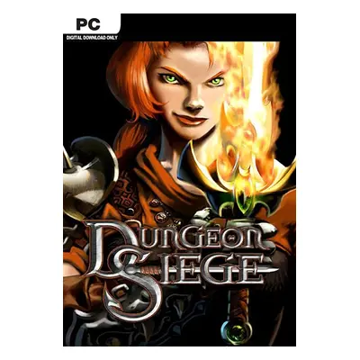 Dungeon Siege for PC - Steam Download Code