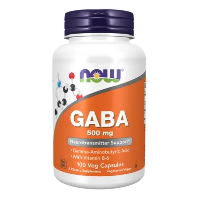 GABA 500mg 100 Vegetarian Capsules