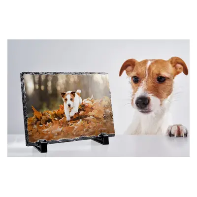 Custom Photo Slates - Create The Perfect Gift For Pet-Lovers