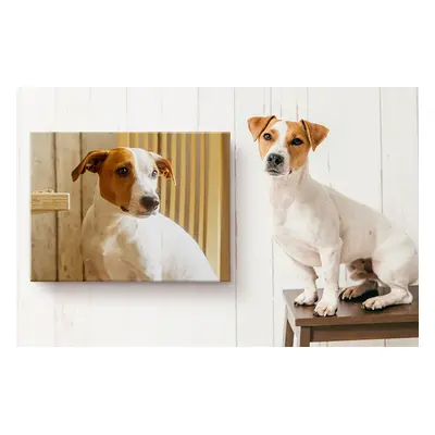 Pet Canvas Prints - Perfect For Pet-Lovers - Custom Wall Art