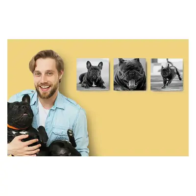 Personalised Photo Tiles - Restickable Wall Art Of Your Pet