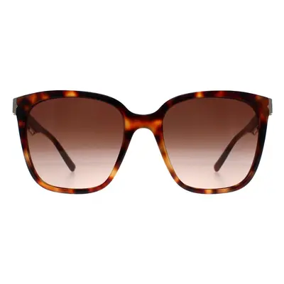 Bvlgari Sunglasses BV8245 551513 Havana Brown Gradient