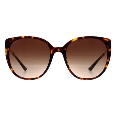 Bvlgari Sunglasses BV8251 504/13 Havana Brown Gradient