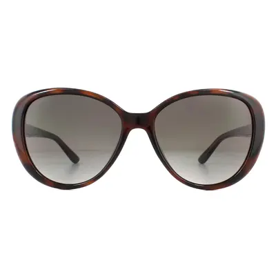 Jimmy Choo Sunglasses AMIRA/G/S 086 HA Dark Havana Brown Gradient