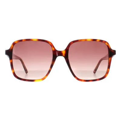 Ted Baker Sunglasses TB1688 100 Tortoise Pink Gradient