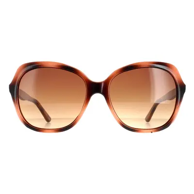 Ted Baker Sunglasses TB1645 Kim 122 Havana Brown