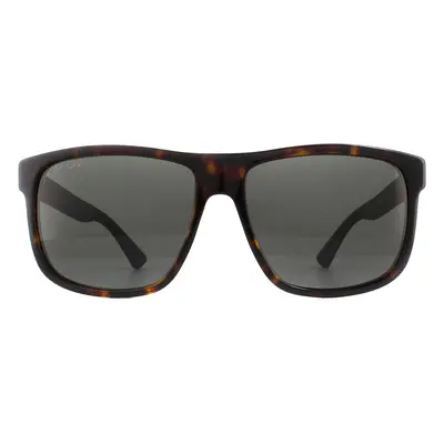 Gucci Sunglasses GG0010S 003 Havana and Grey Grey Polarized