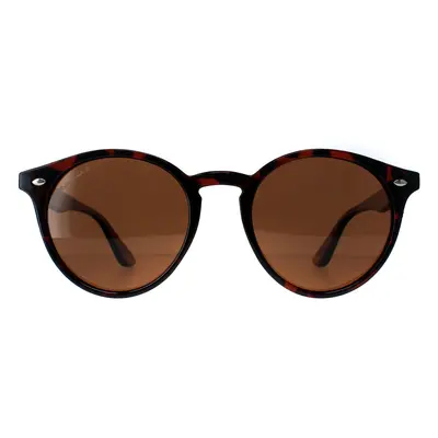 Montana Sunglasses MP20B Tortoise Brown Polarized