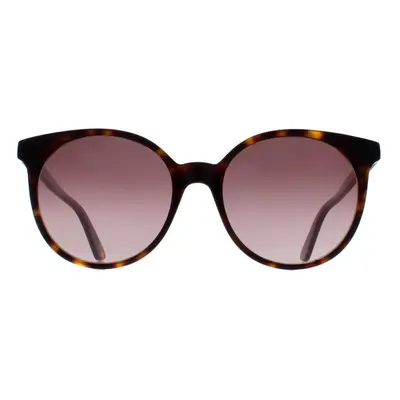 Gucci Sunglasses GG0488S 002 Dark Havana Brown Gradient