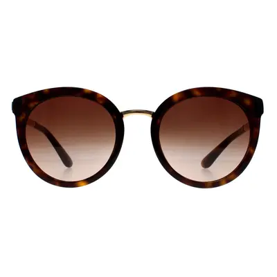 Dolce & Gabbana Sunglasses 4268 502/13 Dark Havana Brown Gradient