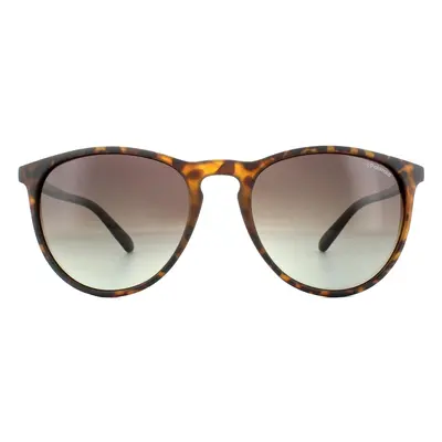 Polaroid Sunglasses PLD 6003/N/S V08 LA Havana Brown Gradient Polarized