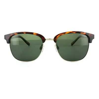 Polaroid Sunglasses 1012/S PR6 H8 Havana Green Polarized