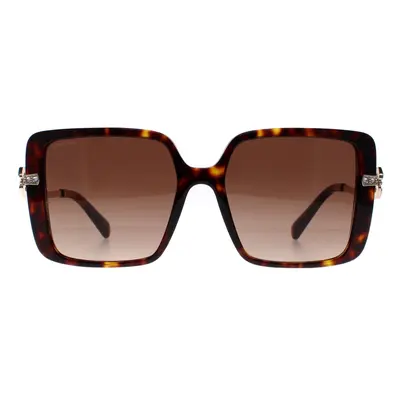 Bvlgari Sunglasses BV8243B 504/13 Havana Brown Gradient