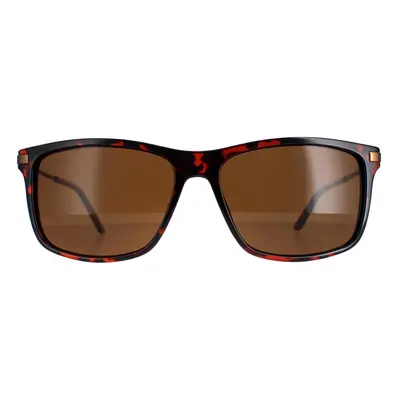 Timberland Sunglasses TB7177 52E Brown Brown