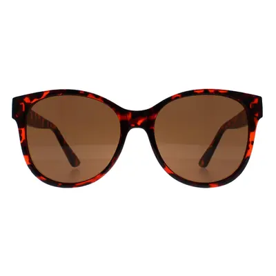 Guess Sunglasses GF0362 52F Brown Brown Gradient