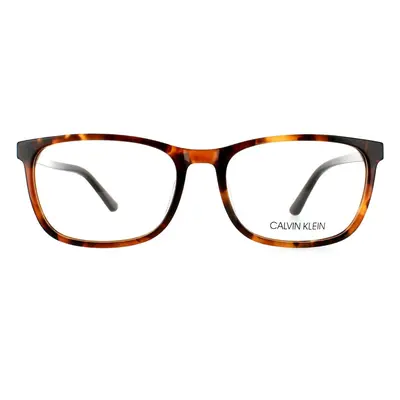 Calvin Klein Glasses Frames CK20511 282 Honey Tortoise Men