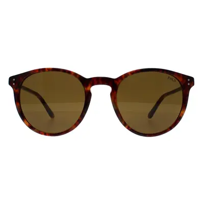 Polo Ralph Lauren Sunglasses 4110 501773 Havana Brown