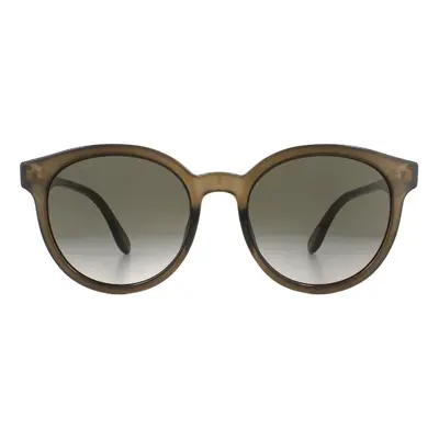 Gucci Sunglasses GG0794SK 002 Polished Translucent Brown Brown Gradient