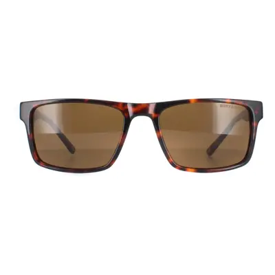 Duck and Cover Sunglasses DCS032 C2 Havana Brown