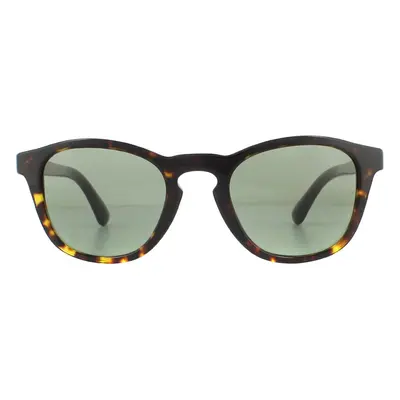 Giorgio Armani Sunglasses AR8112 5026/2 Havana Green