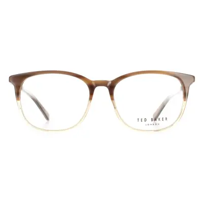 Ted Baker Glasses Frames TB8219 Archer 102 Brown Horn Men