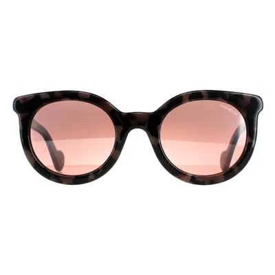 Moncler Sunglasses ML0015 55U Coloured Havana Bordeaux Mirror