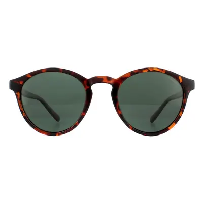 Polaroid Sunglasses PLD 1013/S V08 H8 Havana Green Polarized