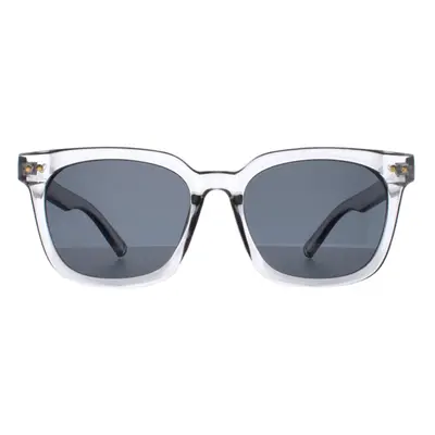 Atum Sunglasses Meraki C2 Shiny Transparent Grey Smoke Grey