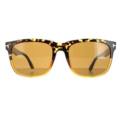 Tom Ford Sunglasses Stephenson FT0775 56E Havana Brown