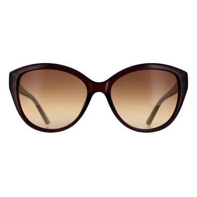 Calvin Klein Sunglasses CK19536S 210 Crystal Brown Brown