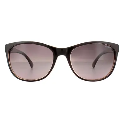 Polaroid Sunglasses P8339 C6T JR Purple Burgundy Gradient Polarized (unavailable)