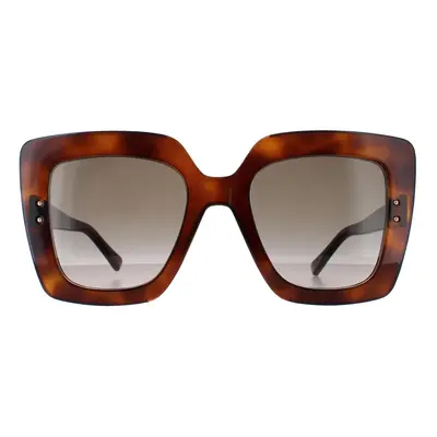 Jimmy Choo Sunglasses AURI/G/S 086 HA Havana Brown Gradient