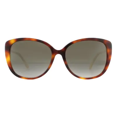 Jimmy Choo Sunglasses ALY/F/S 086 HA Havana Brown Brown Gradient