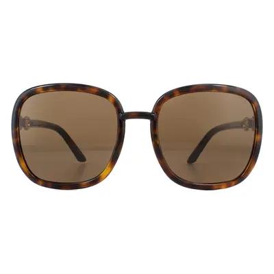 Gucci Sunglasses GG0893S 002 Dark Havana Brown