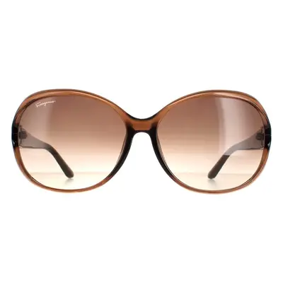 Salvatore Ferragamo Sunglasses SF770SA 213 Light Brown Brown Gradient (unavailable)