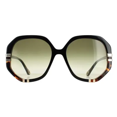 Chloe Sunglasses CH0105S 002 Shiny Black and Tortoise Green Gradient